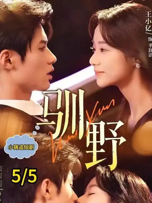 总裁的替身秘书 都市情感短剧在线观看